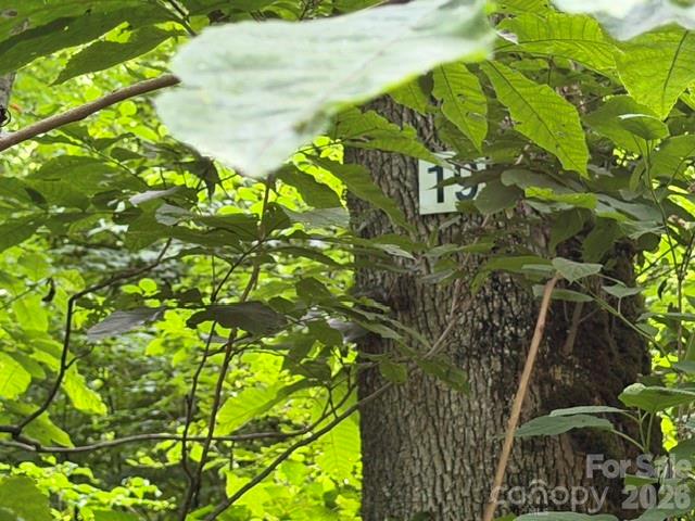 Lot 19 Iga Trail