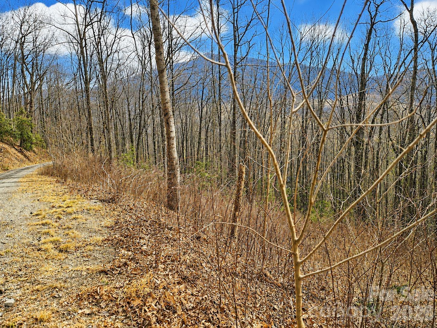 900 Fern Trail