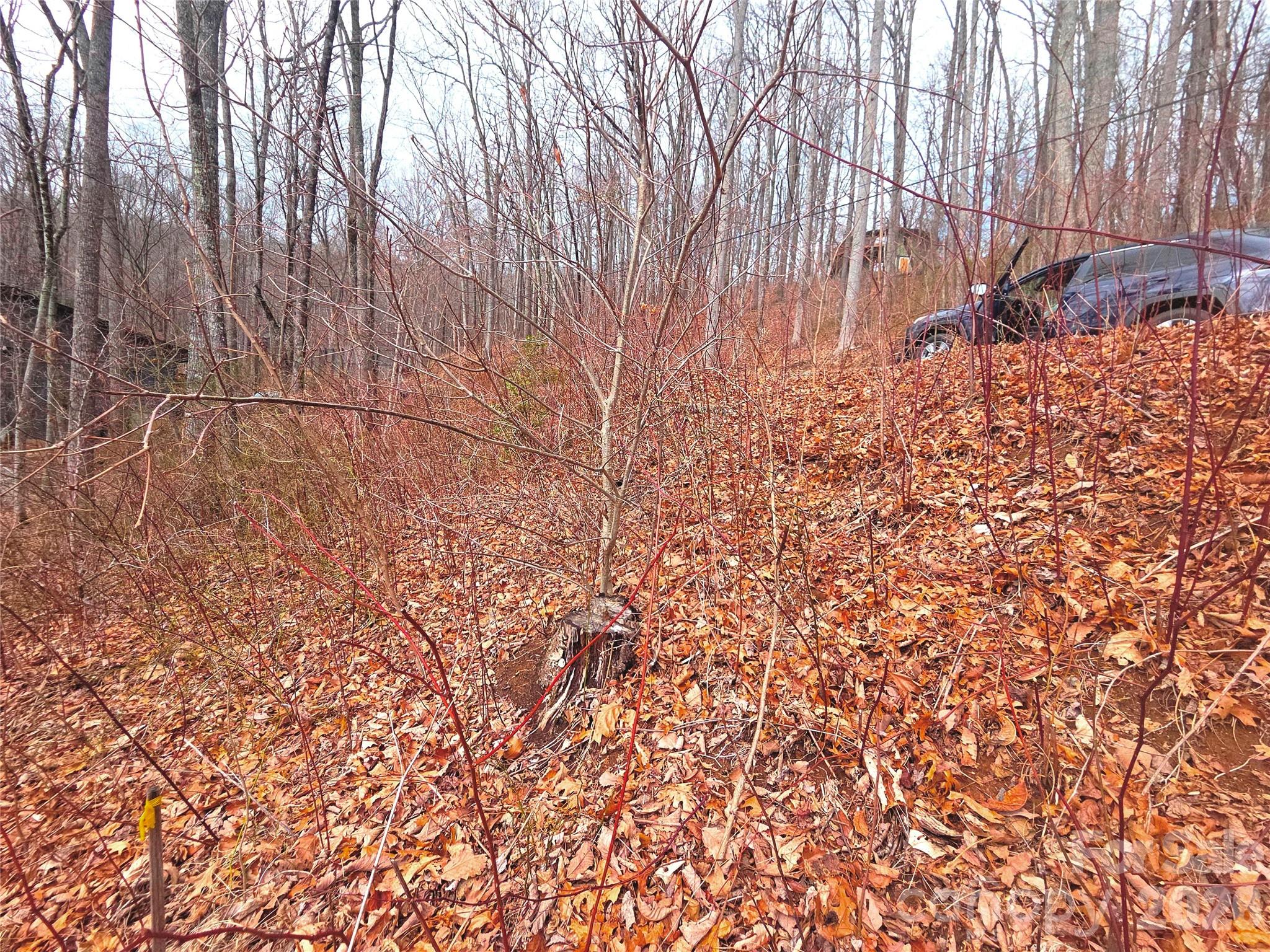 Lot at 900 Fern Trail, Waynesville, photo 4 of 15