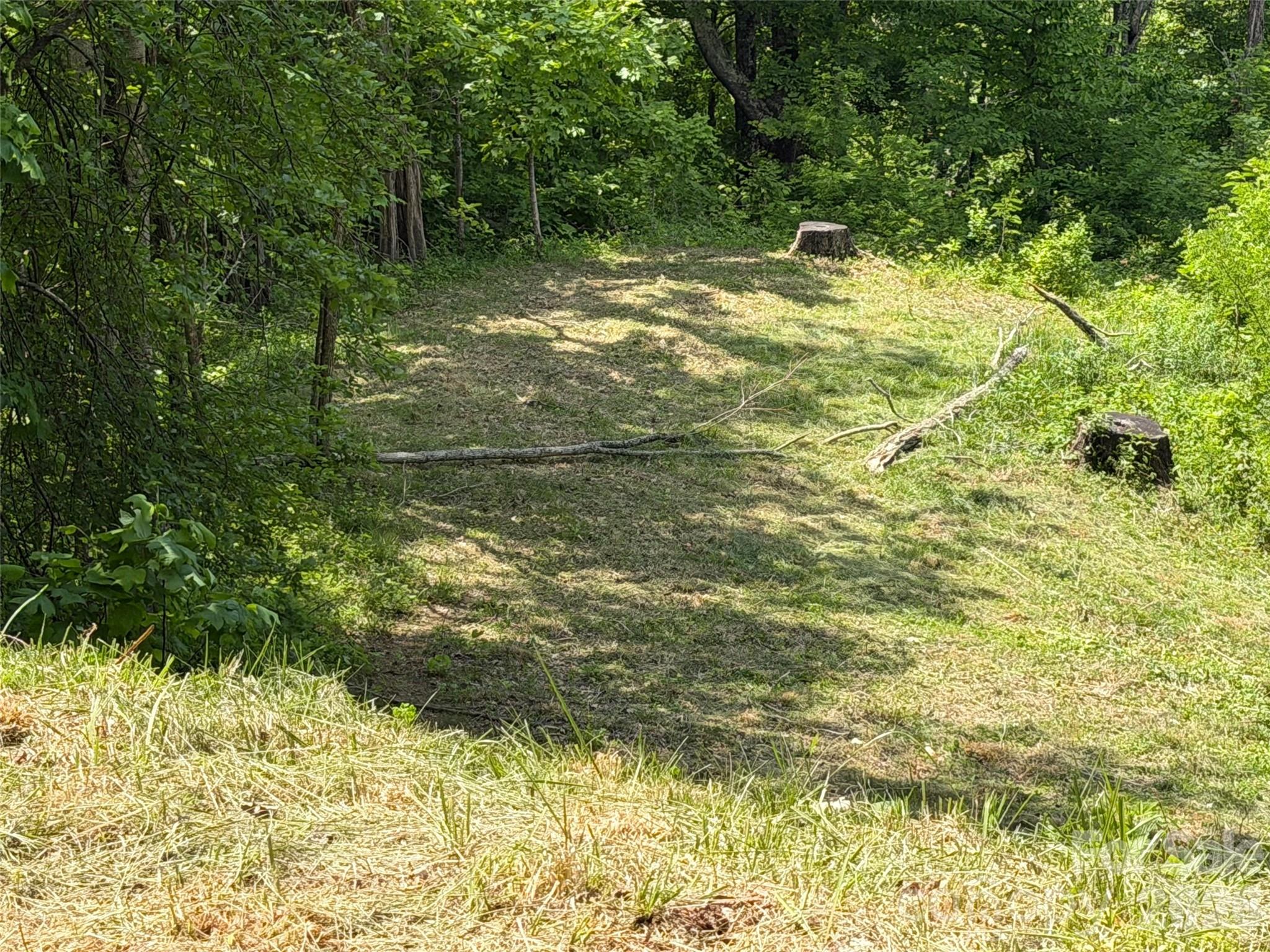 Acreage at 399 Goodson Spring Road, Waynesville, photo 25 of 29