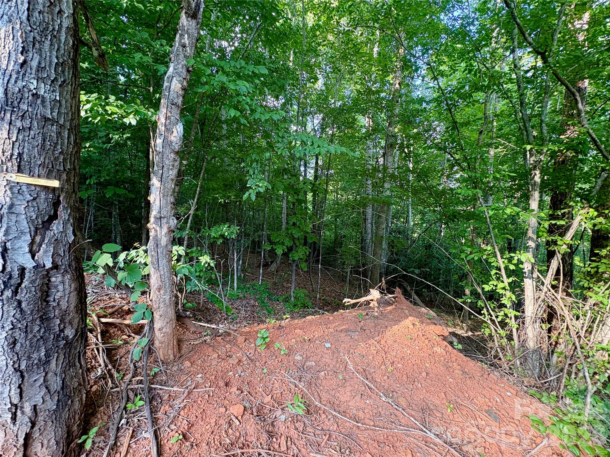 Lot at 289 Champange Ridge, Lake Lure, photo 3 of 7