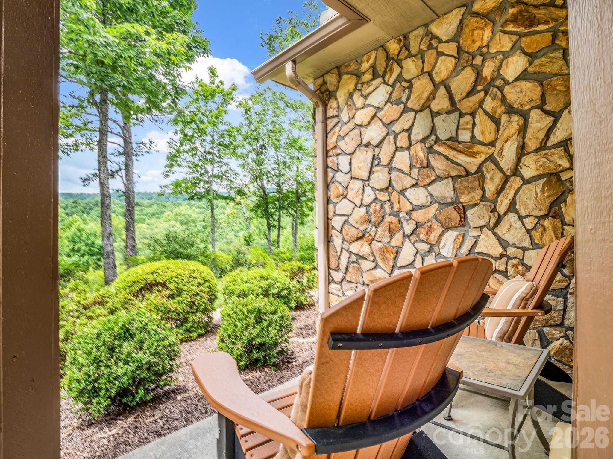 Single Family Residence at 131 Arcadia Falls Way, Black Mountain, photo 11 of 55