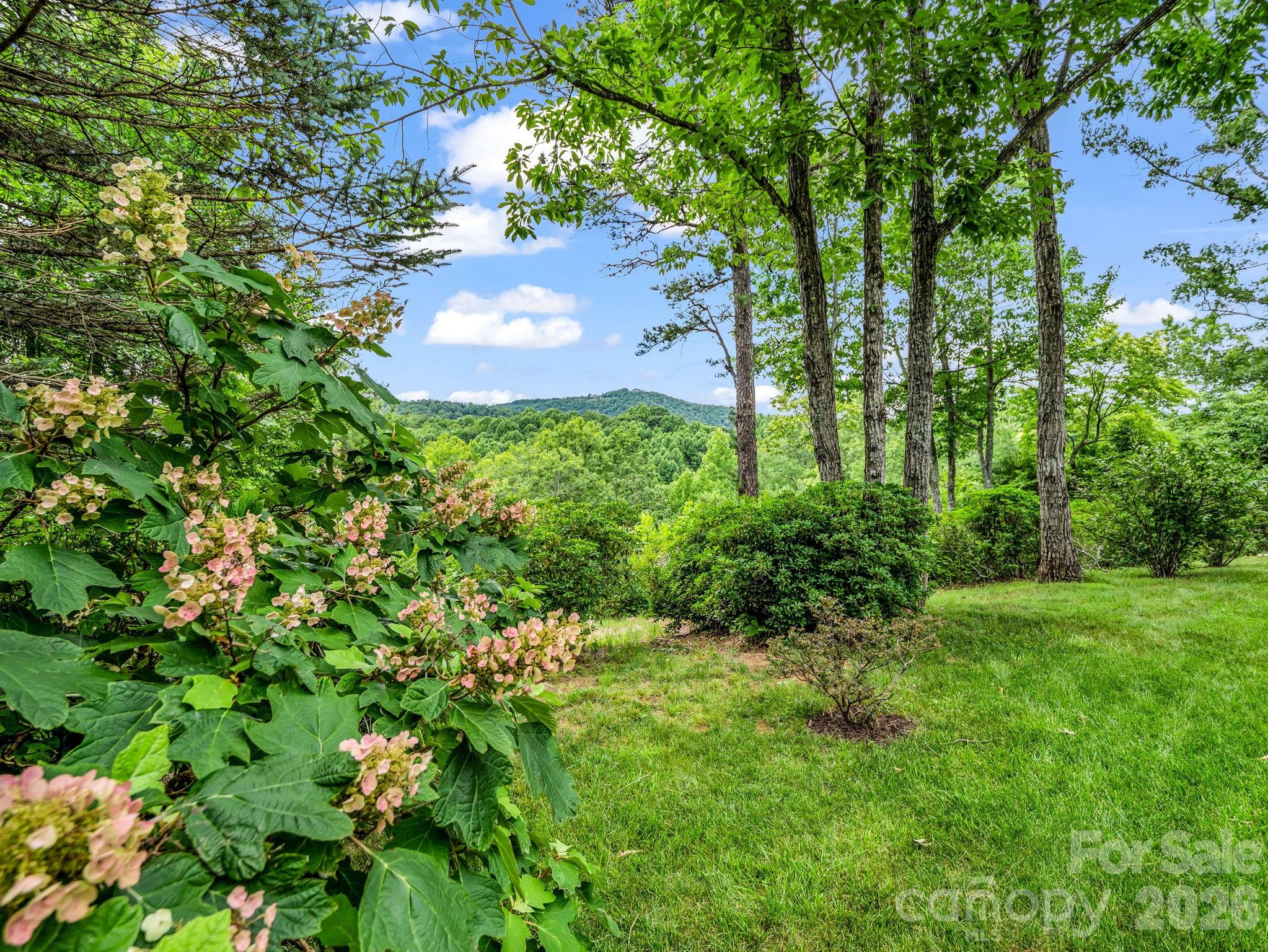 Single Family Residence at 131 Arcadia Falls Way, Black Mountain, photo 53 of 55