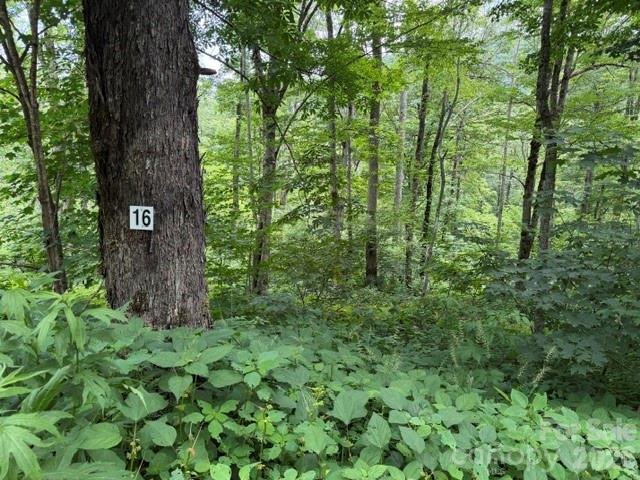 Lot 16 Iga Trail