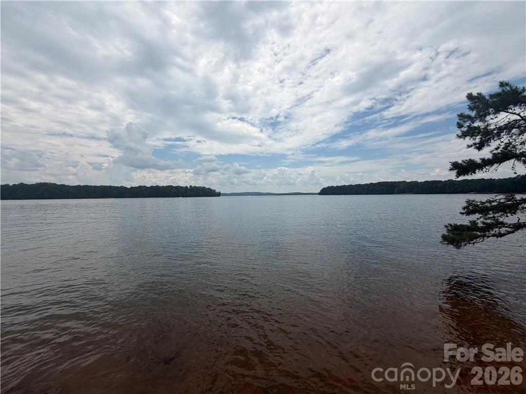 View from waterfront to HRL dam area. - 0 Scout Road, Lexington