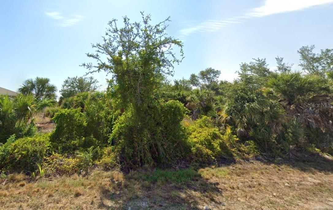 Land at 9533 PRESIDENT CIR, PORT CHARLOTTE, photo 4 of 5