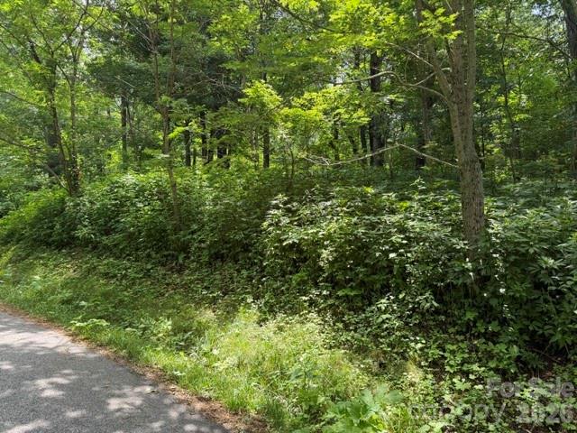 Lot at Lot 33 Toi Trail, Maggie Valley, photo 2 of 36