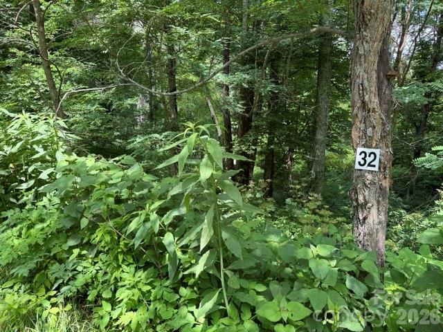 Lot 32 Toi Trail
