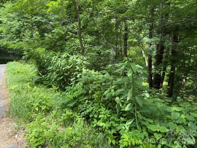 Lot at Lot 32 Toi Trail, Maggie Valley, photo 2 of 36
