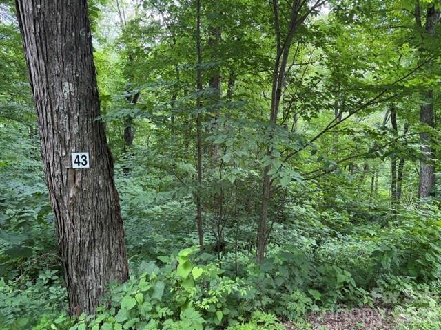 Lot 43 Gata Trail