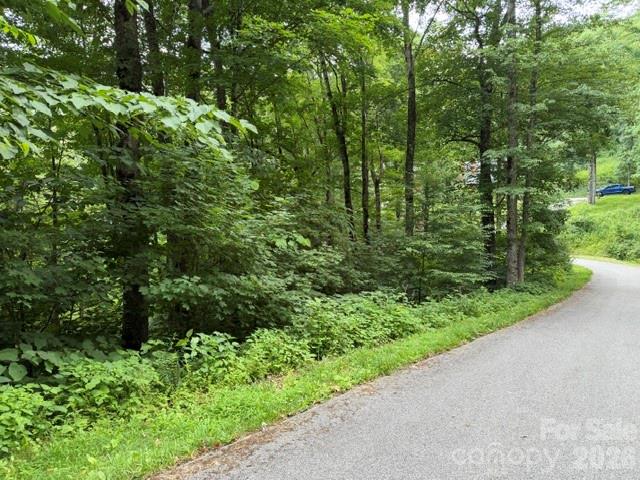 Lot at Lot 43 Gata Trail, Maggie Valley, photo 5 of 38