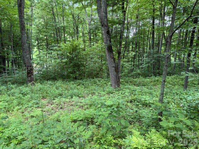 Lot at Lot 36 Odalu Trail, Maggie Valley, photo 2 of 37