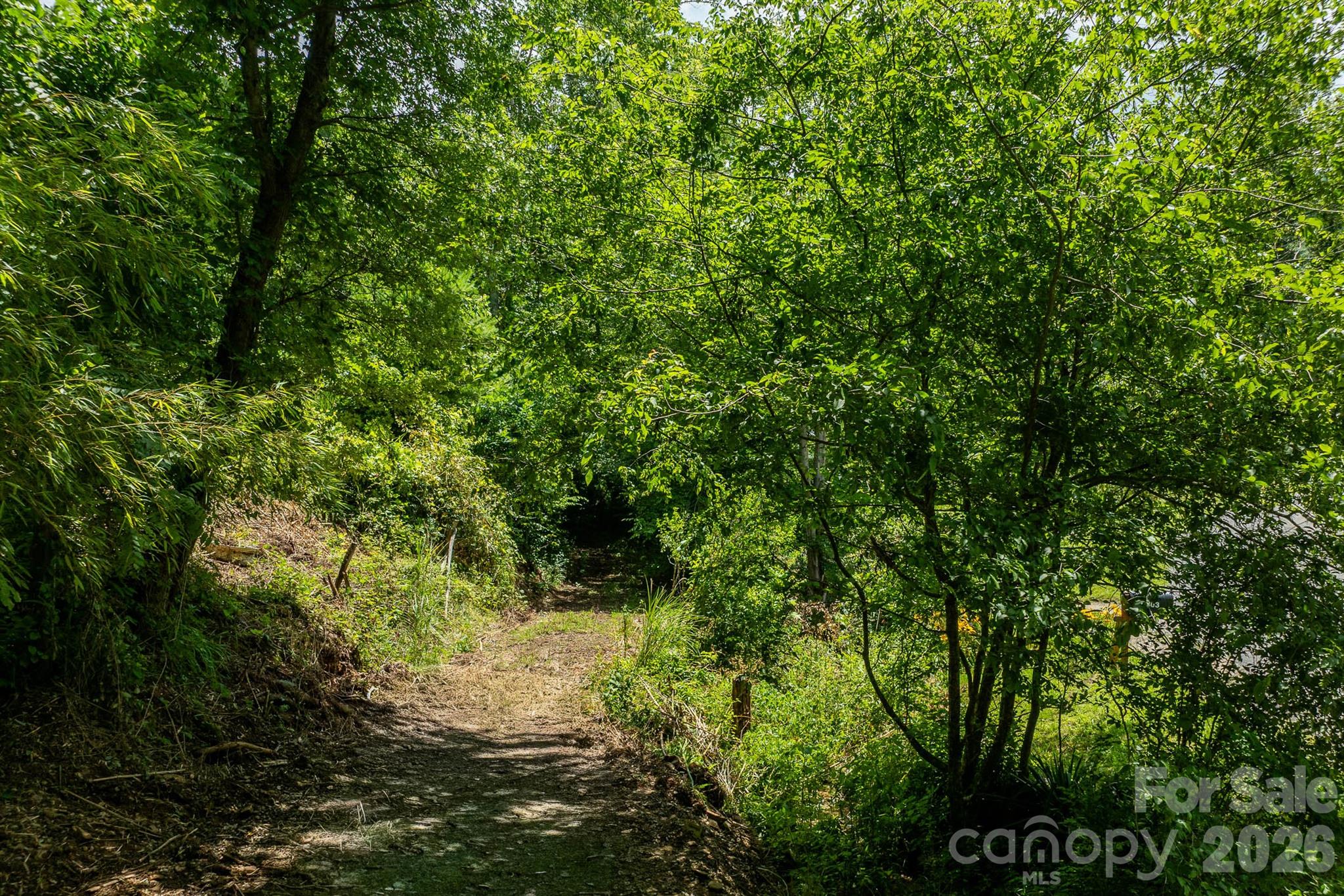 Acreage at 789 Jarrett Cove Road, Marshall, photo 4 of 43