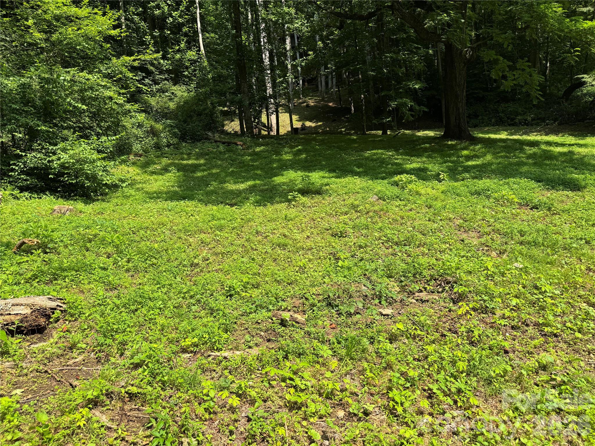 Lot at LT 18 Silverbell Lane, Waynesville, photo 4 of 23