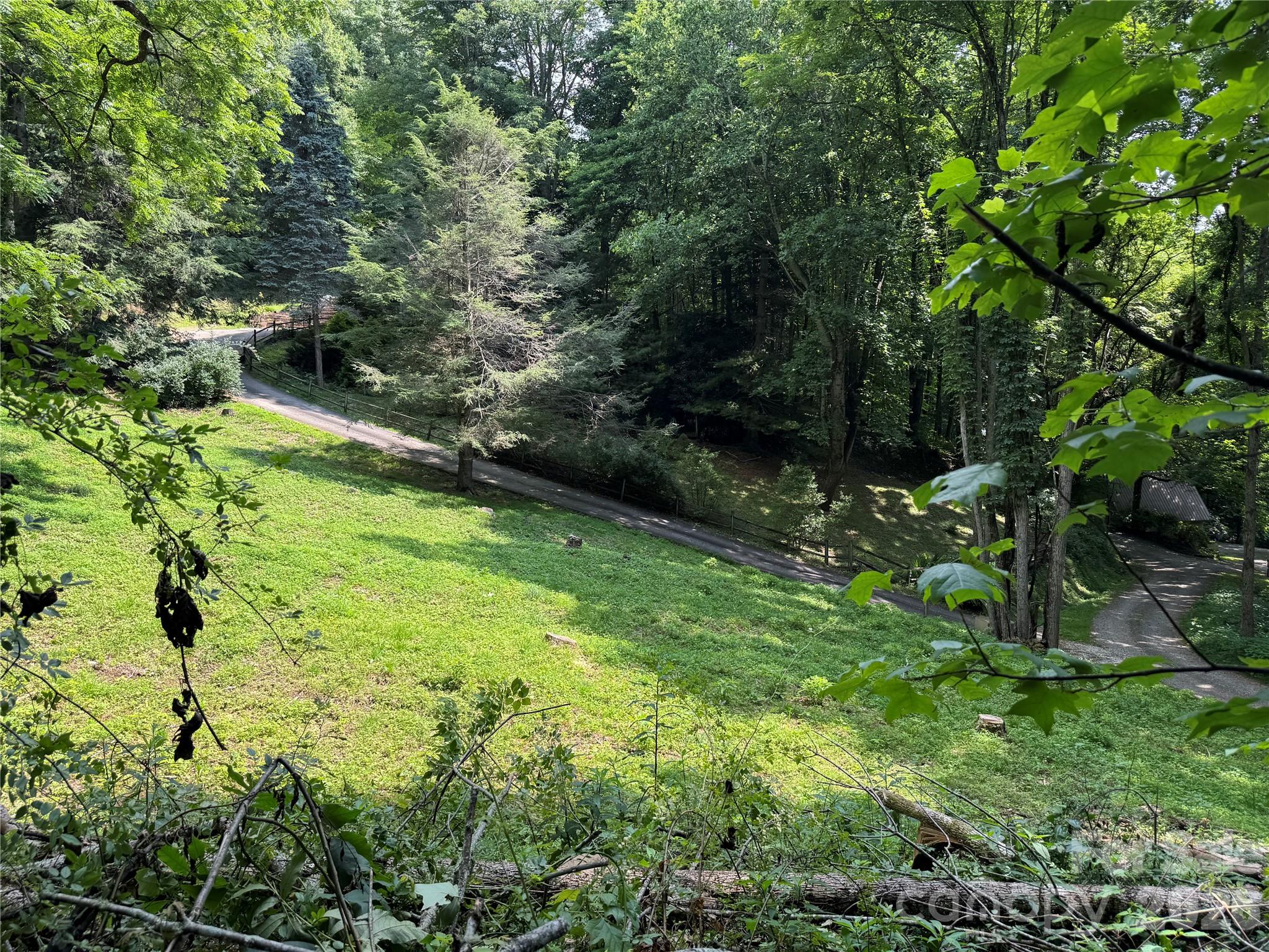 Lot at LT 18 Silverbell Lane, Waynesville, photo 5 of 23