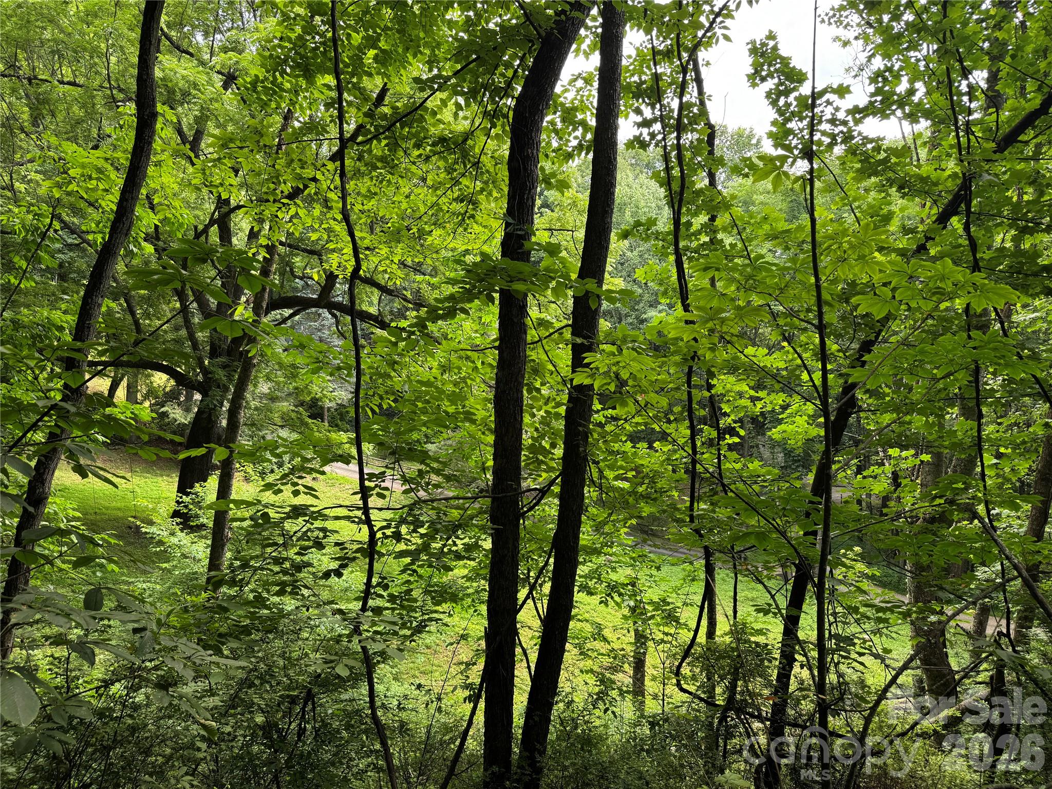 Lot at LT 18 Silverbell Lane, Waynesville, photo 6 of 23