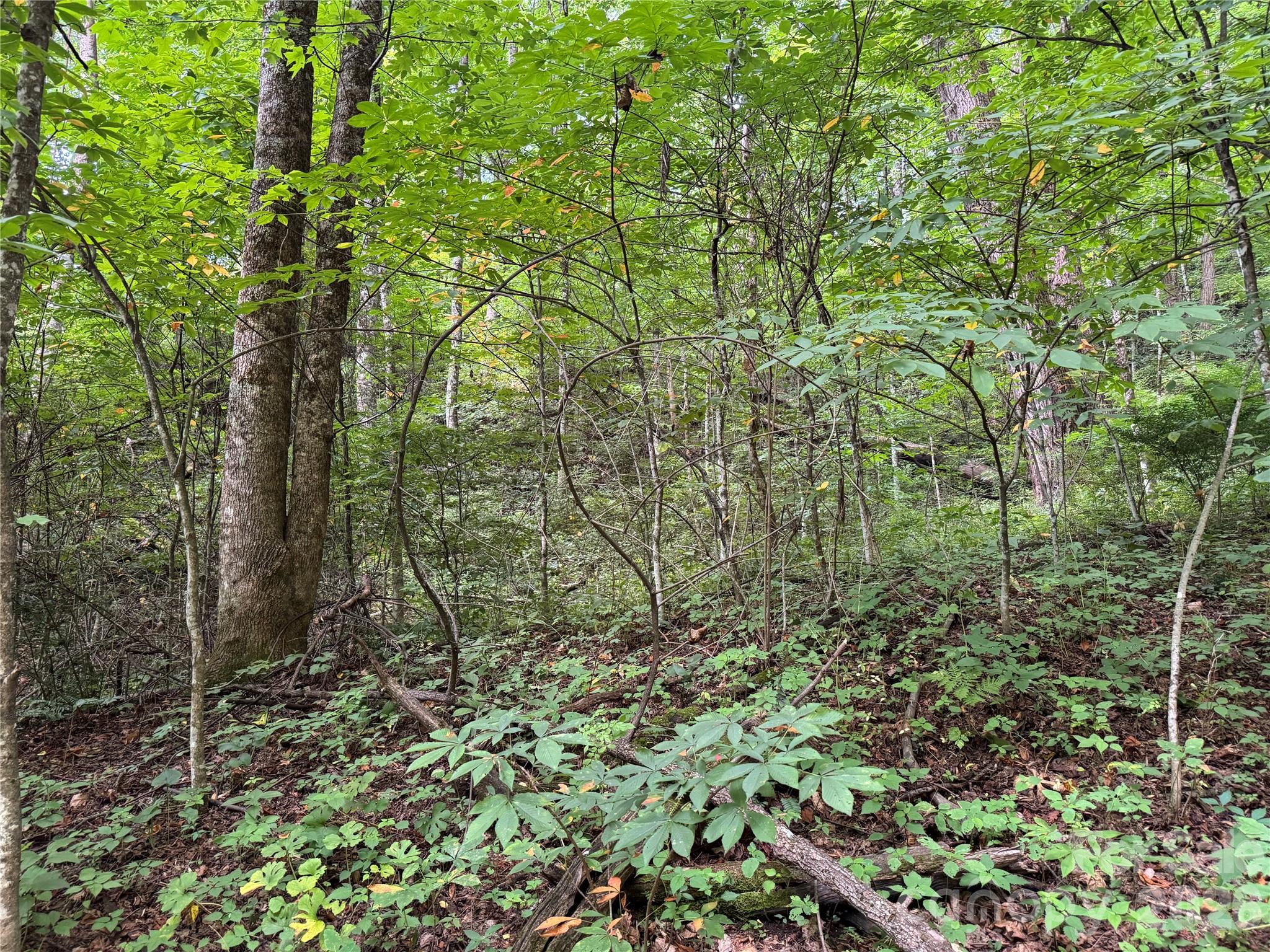 Lot at LT 18 Silverbell Lane, Waynesville, photo 11 of 23