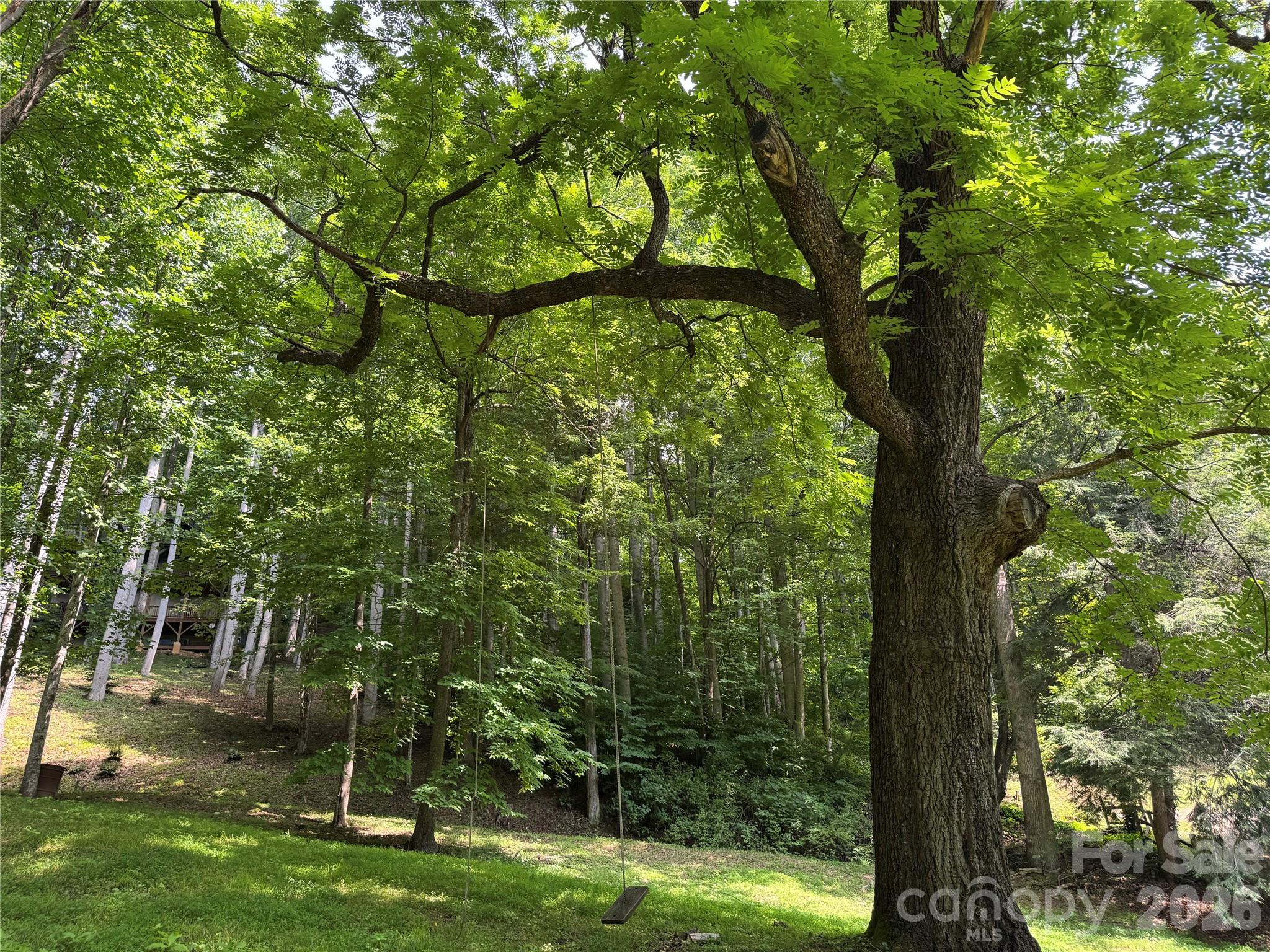 Lot at LT 18 Silverbell Lane, Waynesville, photo 15 of 23