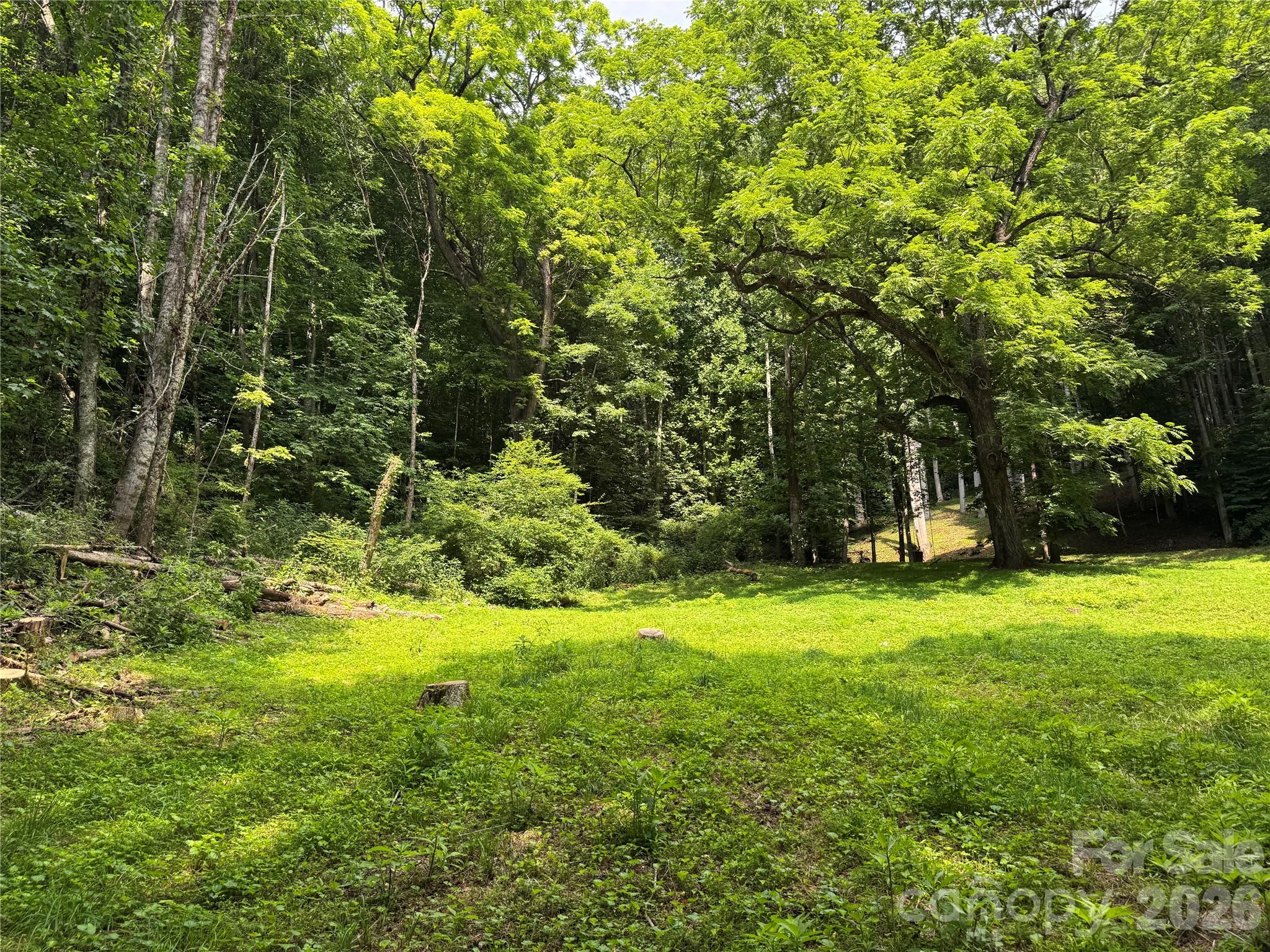 Lot at LT 18 Silverbell Lane, Waynesville, photo 18 of 23