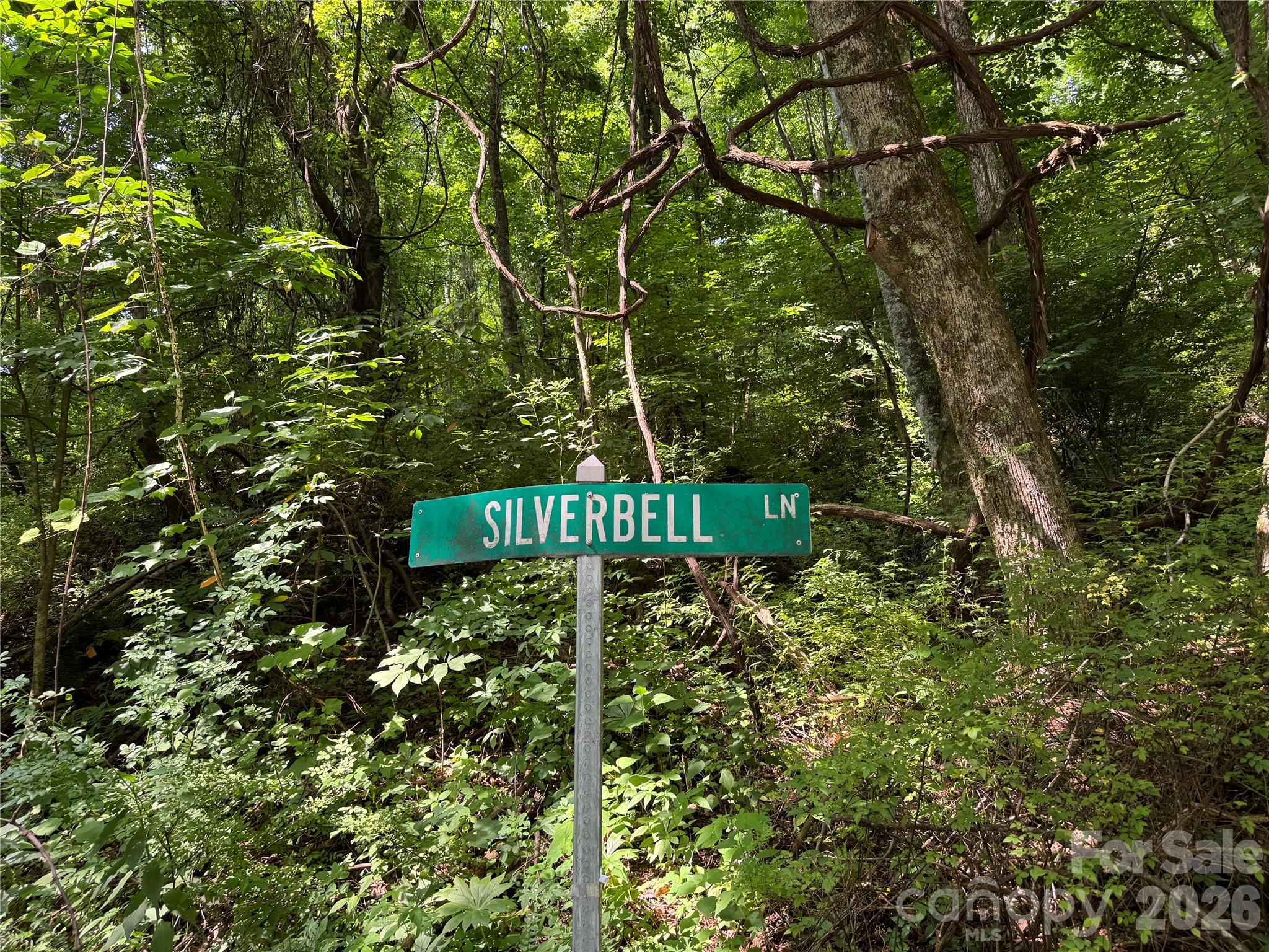 Lot at LT 18 Silverbell Lane, Waynesville, photo 20 of 23