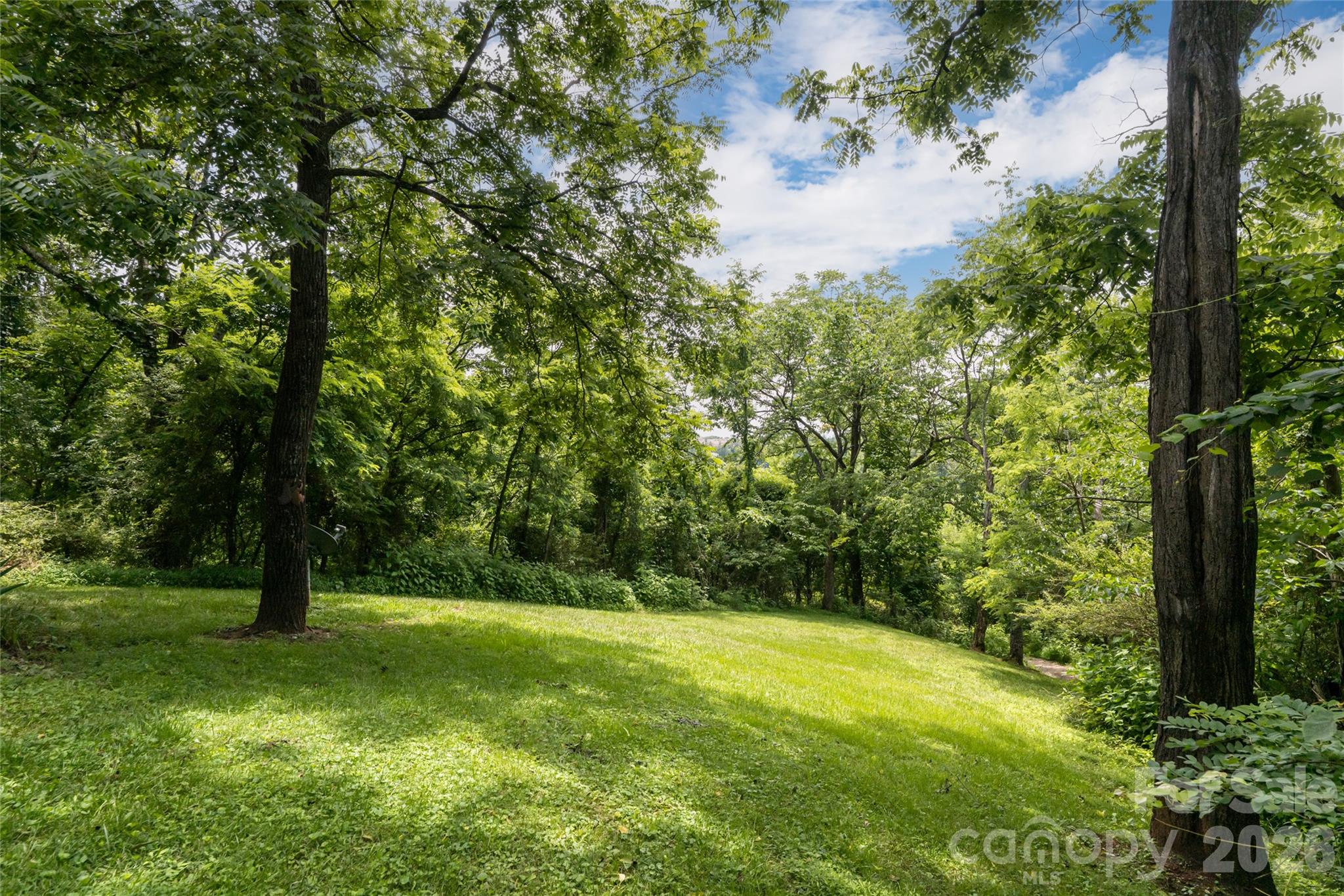 Single Family Residence at 119 Old Salem Branch Drive, Alexander, photo 6 of 33