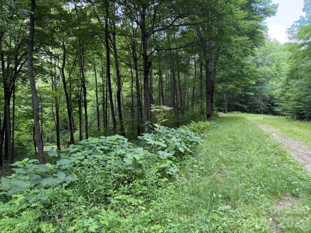 Lot at Lot 59 Odalu Trail, Maggie Valley, photo 3 of 36