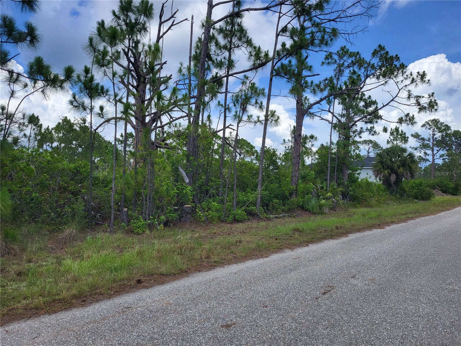 Looking East. - 14114 CLARISSA LN, PORT CHARLOTTE