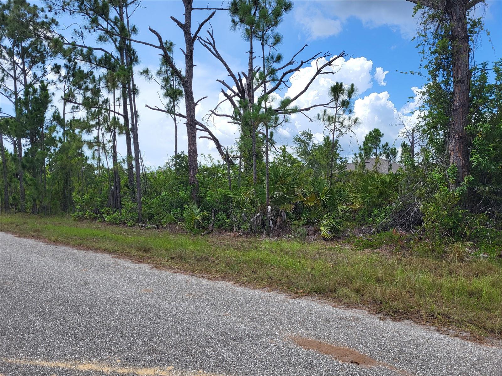 Looking West. - 14114 CLARISSA LN, PORT CHARLOTTE