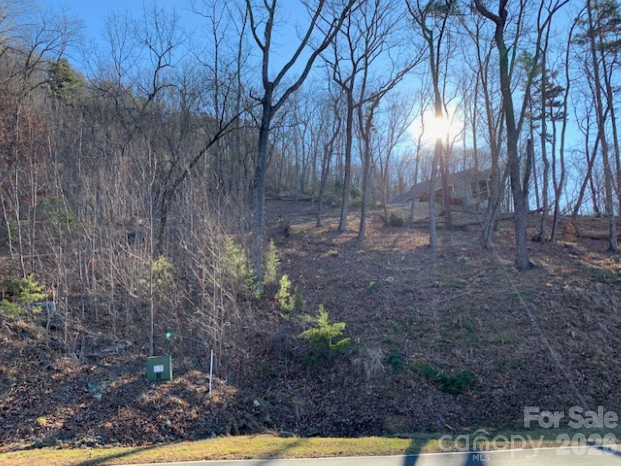 Lot at 218 Rock Ledge Drive, Lake Lure, photo 3 of 9