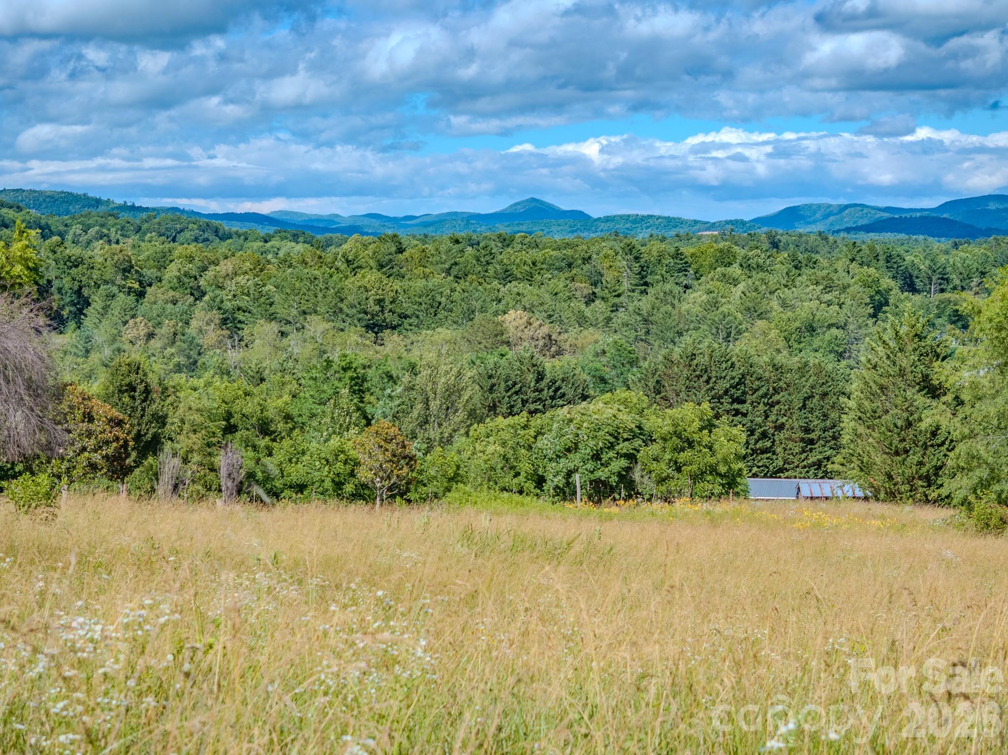 Lot at 000 Rocky Hill Drive, Hendersonville, photo 5 of 29