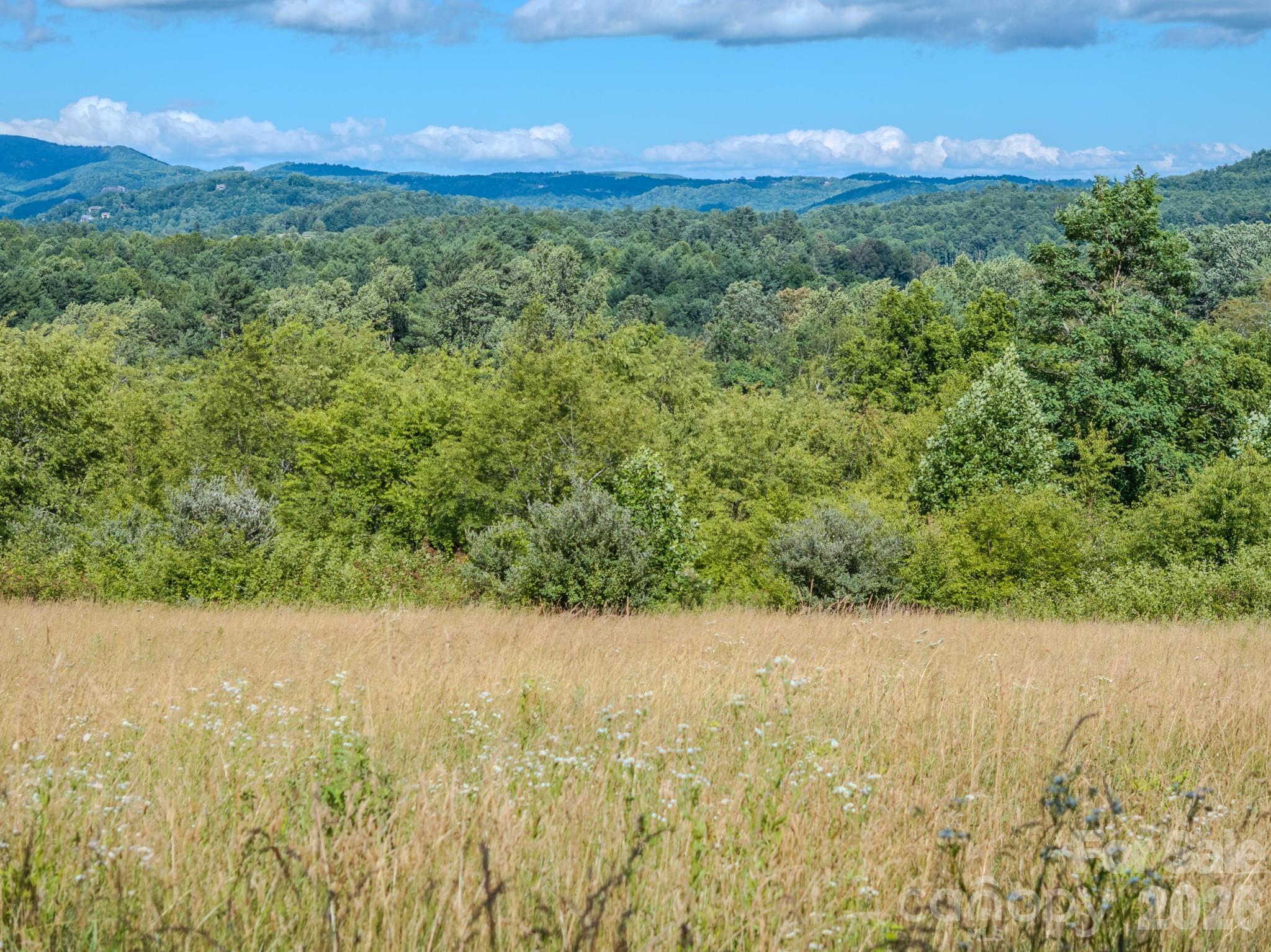 Lot at 000 Rocky Hill Drive, Hendersonville, photo 6 of 29