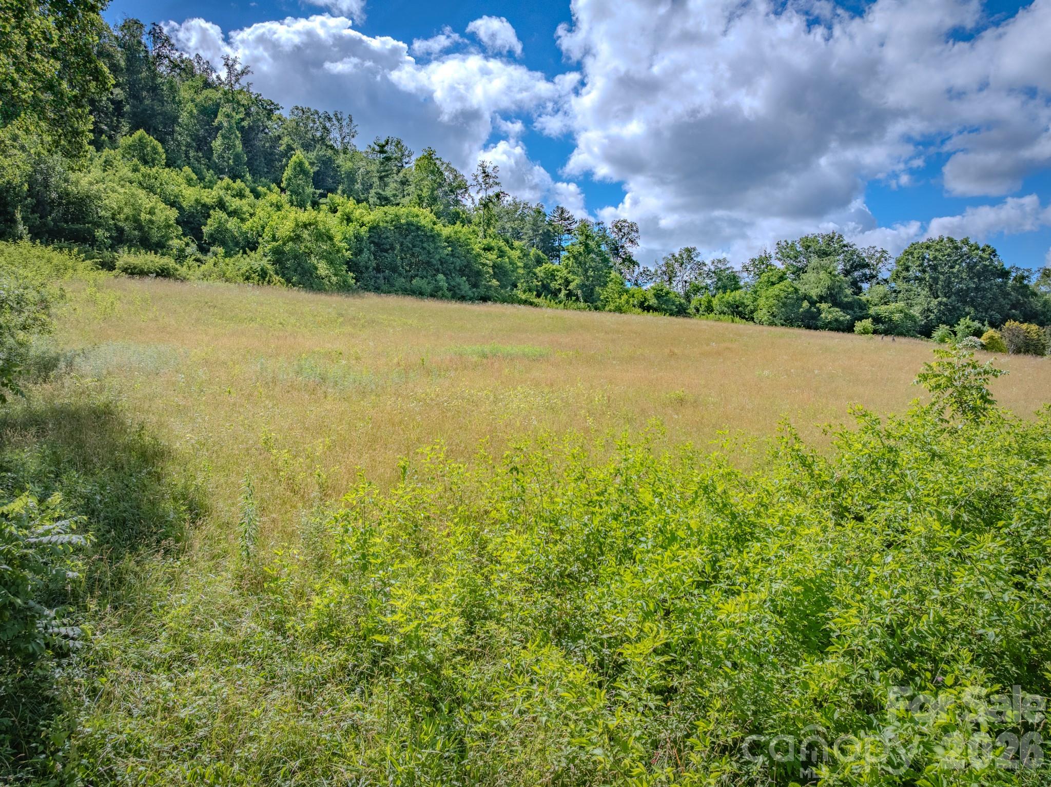 Lot at 000 Rocky Hill Drive, Hendersonville, photo 17 of 29