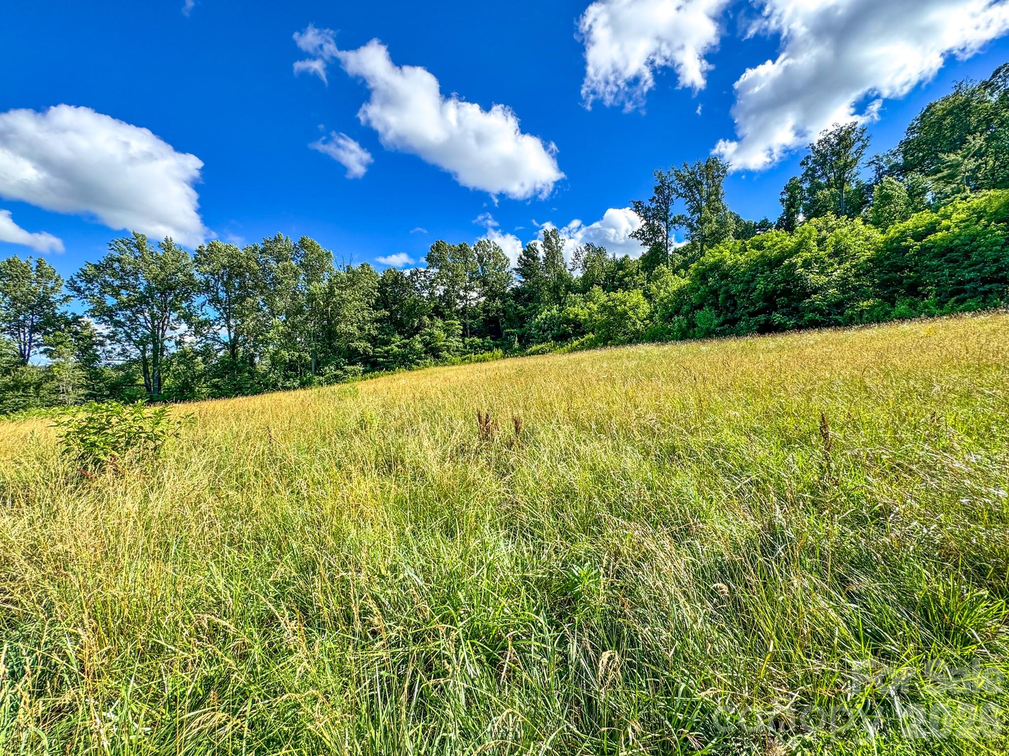 Lot at 000 Rocky Hill Drive, Hendersonville, photo 20 of 29