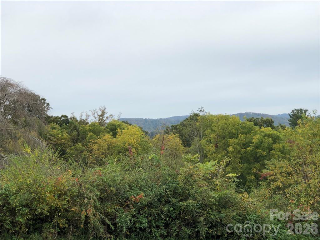 Single Family Residence at 836 Burney Mountain Road, Fletcher, photo 2 of 37