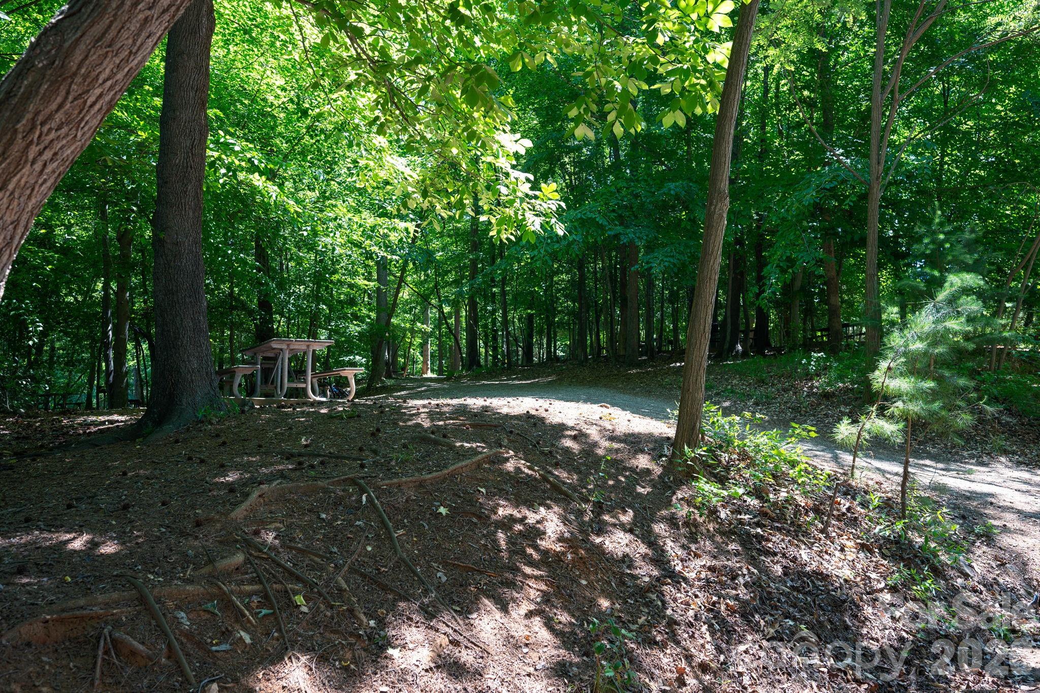Acreage at 162 Clark Cove Road, Statesville, photo 21 of 25