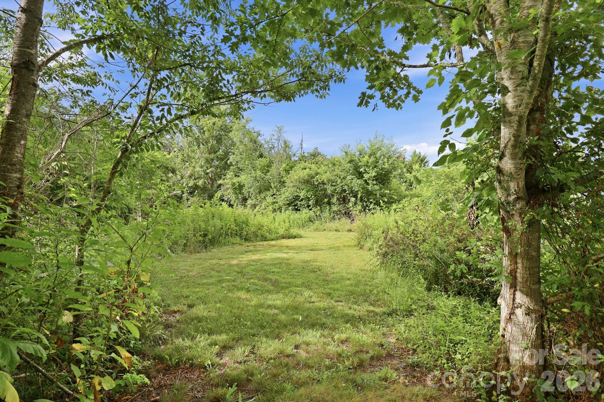 Outside area - Back/Side Lawn - 1091 WINDSWEPT RIDGE Road, Marshall