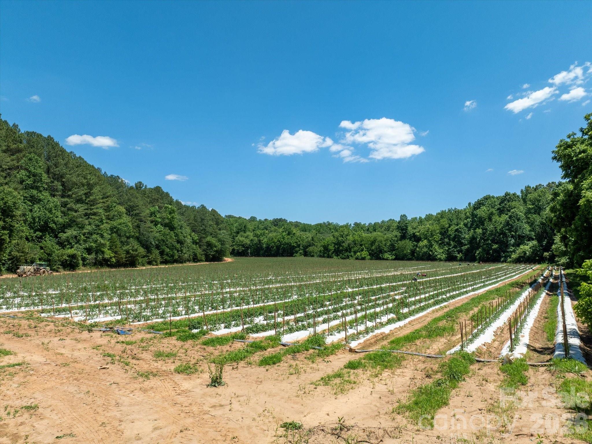 Acreage at 99999 Tryon Road, Rutherfordton, photo 2 of 25