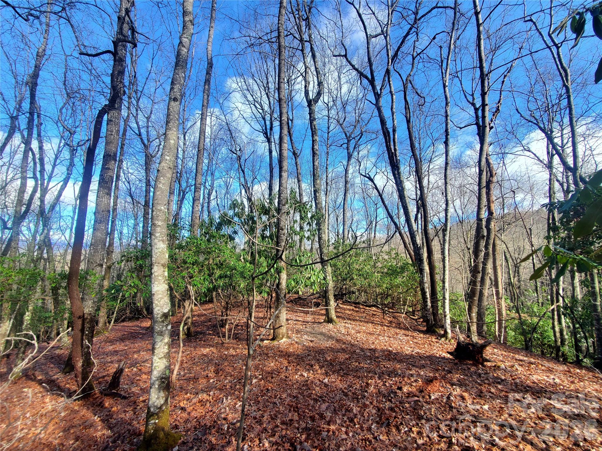 Lot at TBD Skye Drive, Pisgah Forest, photo 2 of 12