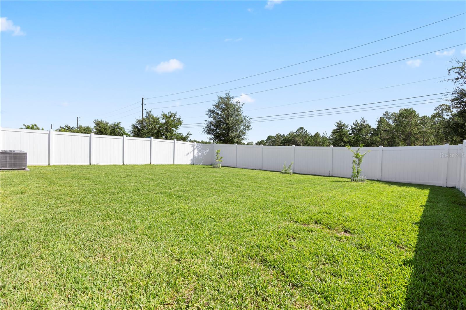 Back Yard - 2648 NEVERLAND DR, NEW SMYRNA BEACH