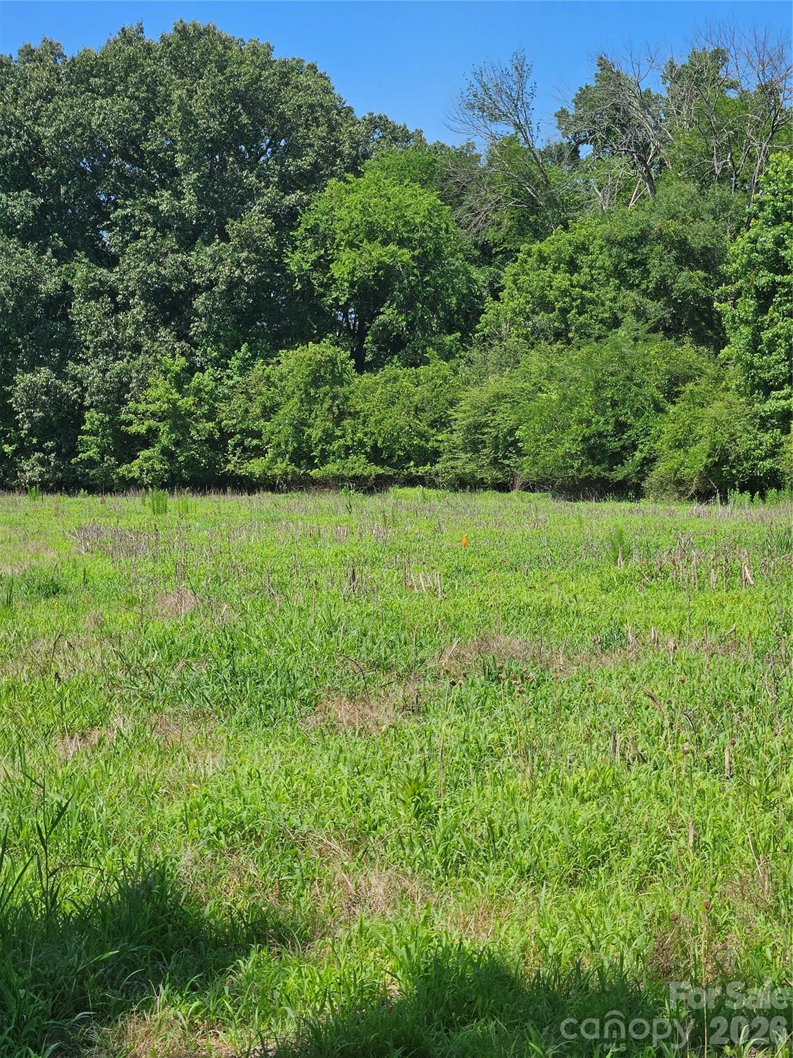 BEAUTIFUL PRIVATE SITE - 16.70ac Providence Road S, Waxhaw