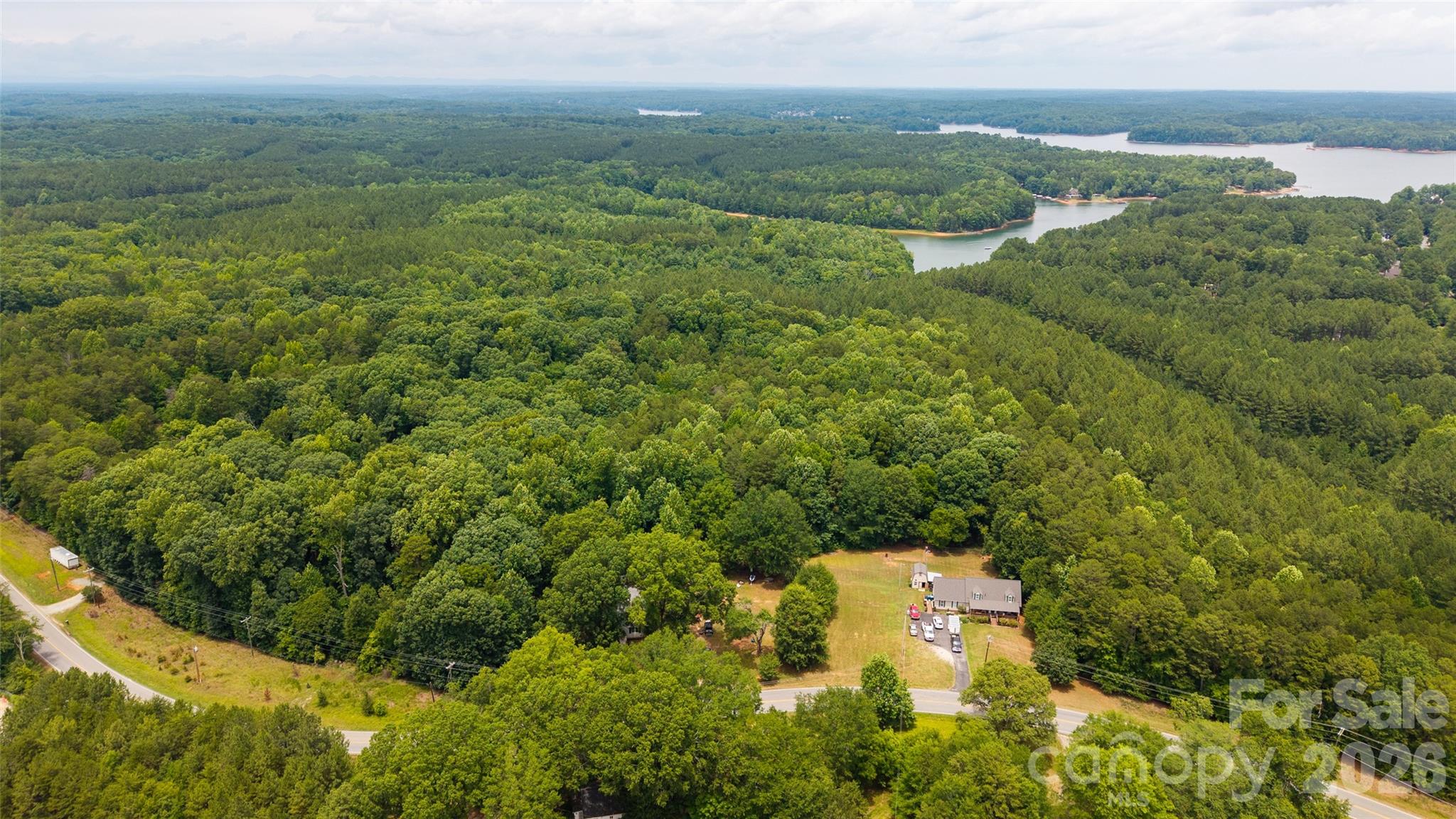 Dense forest with hardwood and pine - 8628 Island Point Road, Sherrills Ford