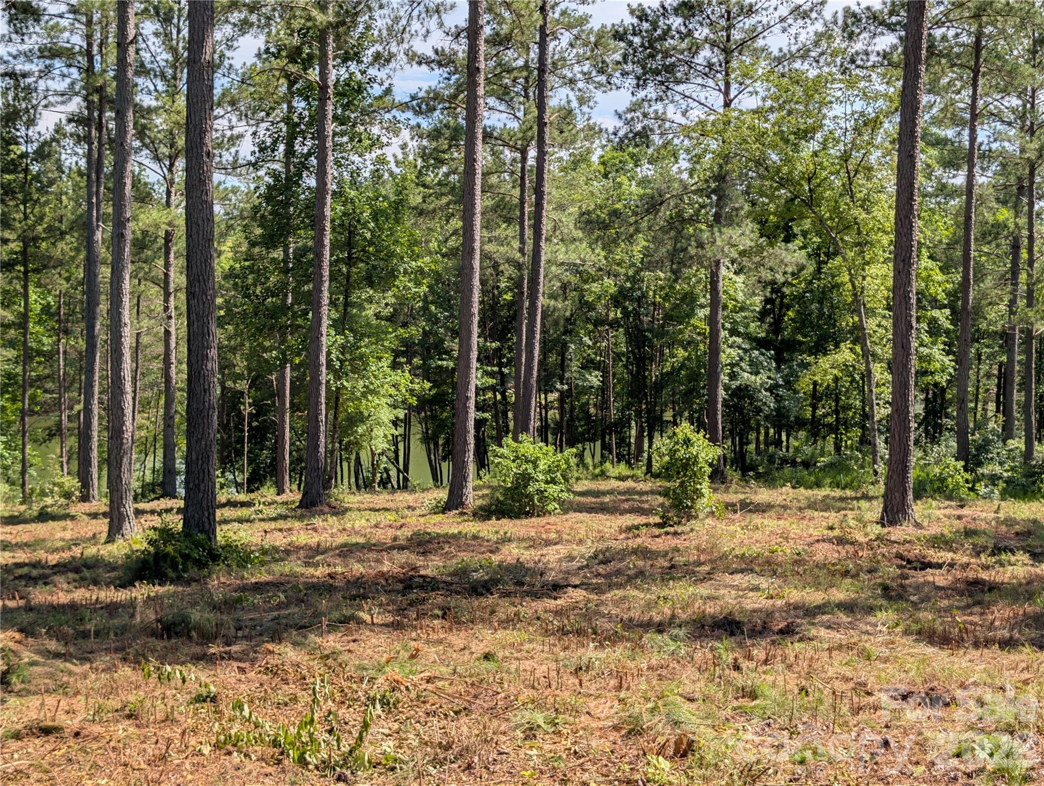 Beautiful waterfront lot - 2134 Princeton Mountain Mountain, Connelly Springs