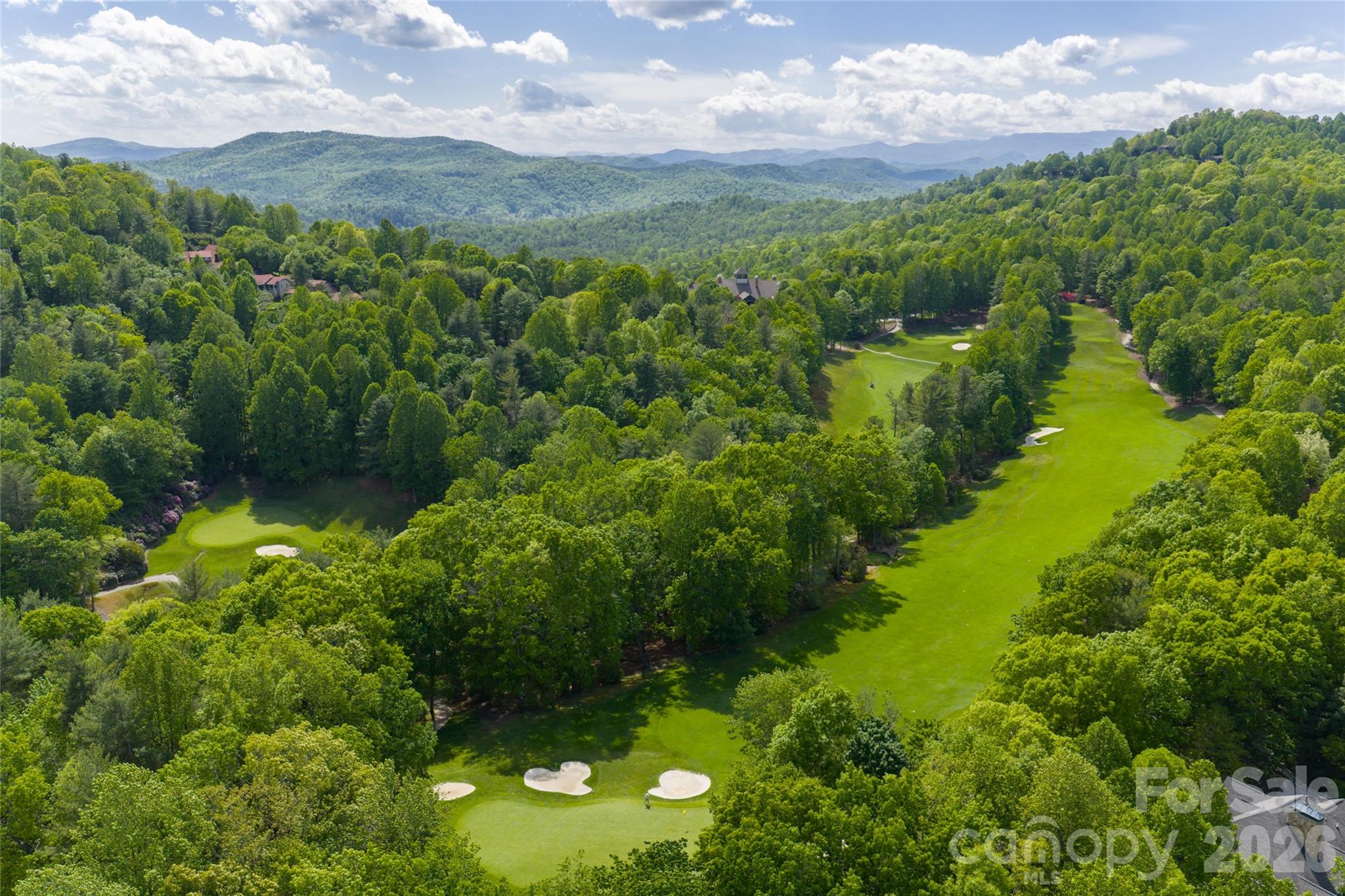Champion Hills Golf Course - 58 Blackgum Court, Hendersonville