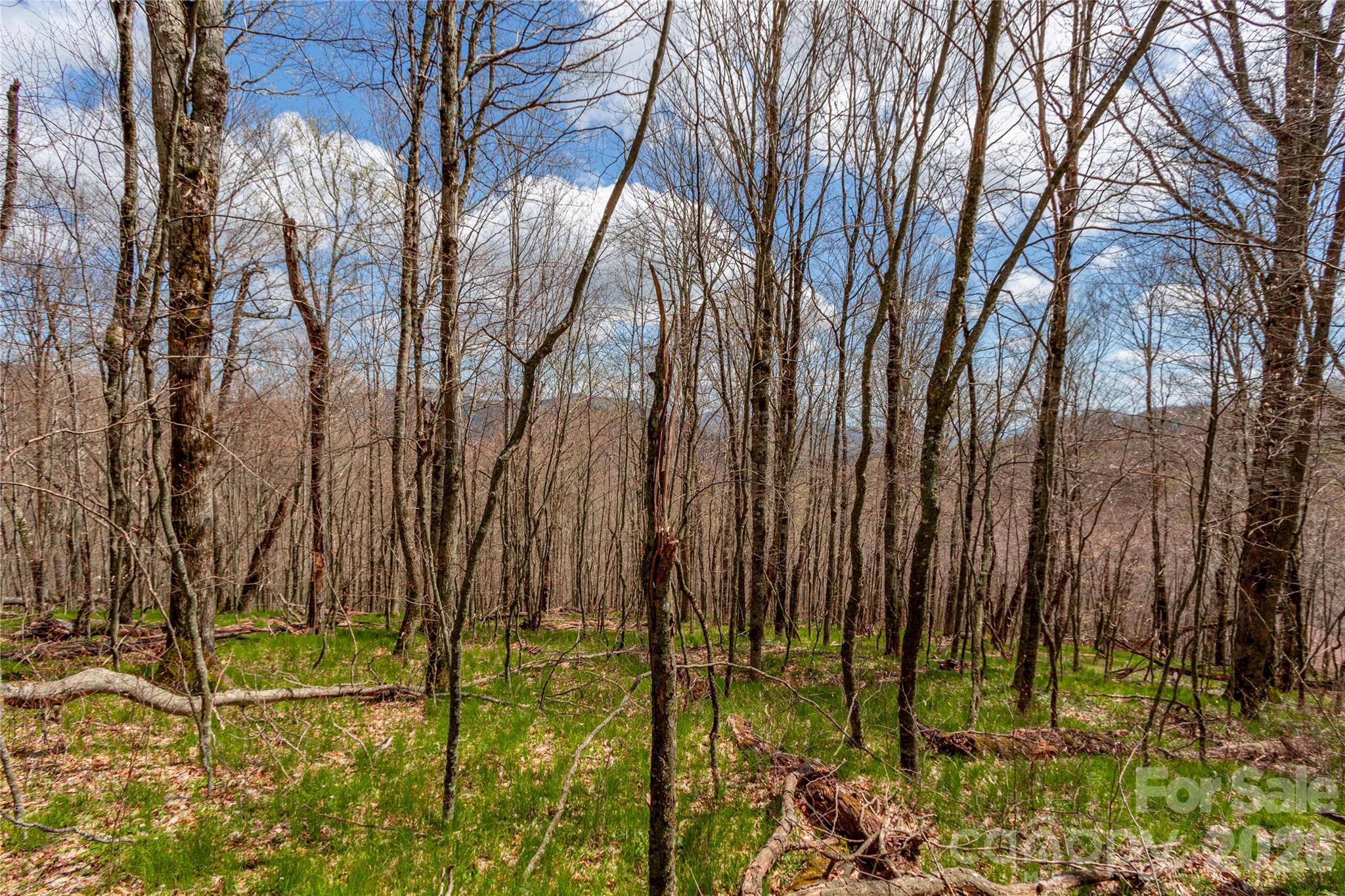 lots 4,5 & 7 Mule Trail Drive