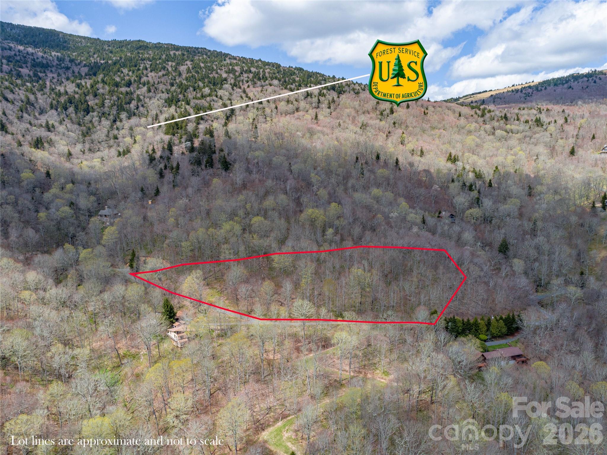 Lot at lots 4,5 & 7 Mule Trail Drive, Bakersville, photo 6 of 8