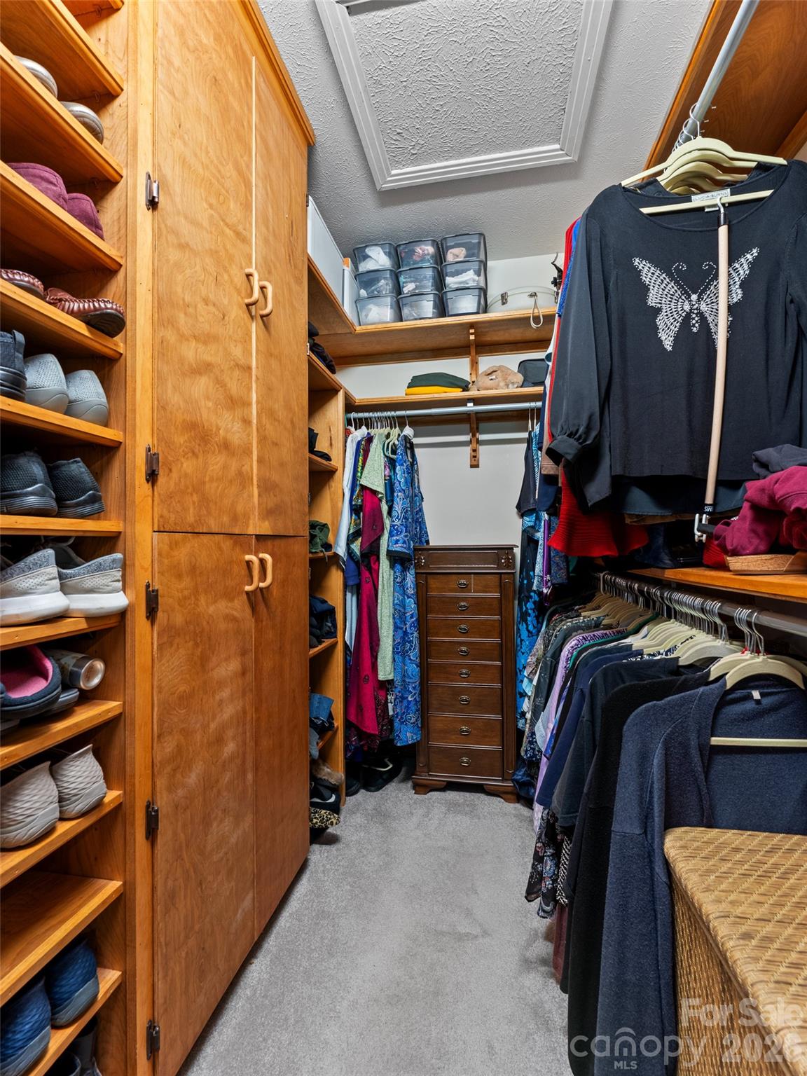 Primary Bedroom's Walk-in Closet - 3 Westbridge Drive, Hendersonville