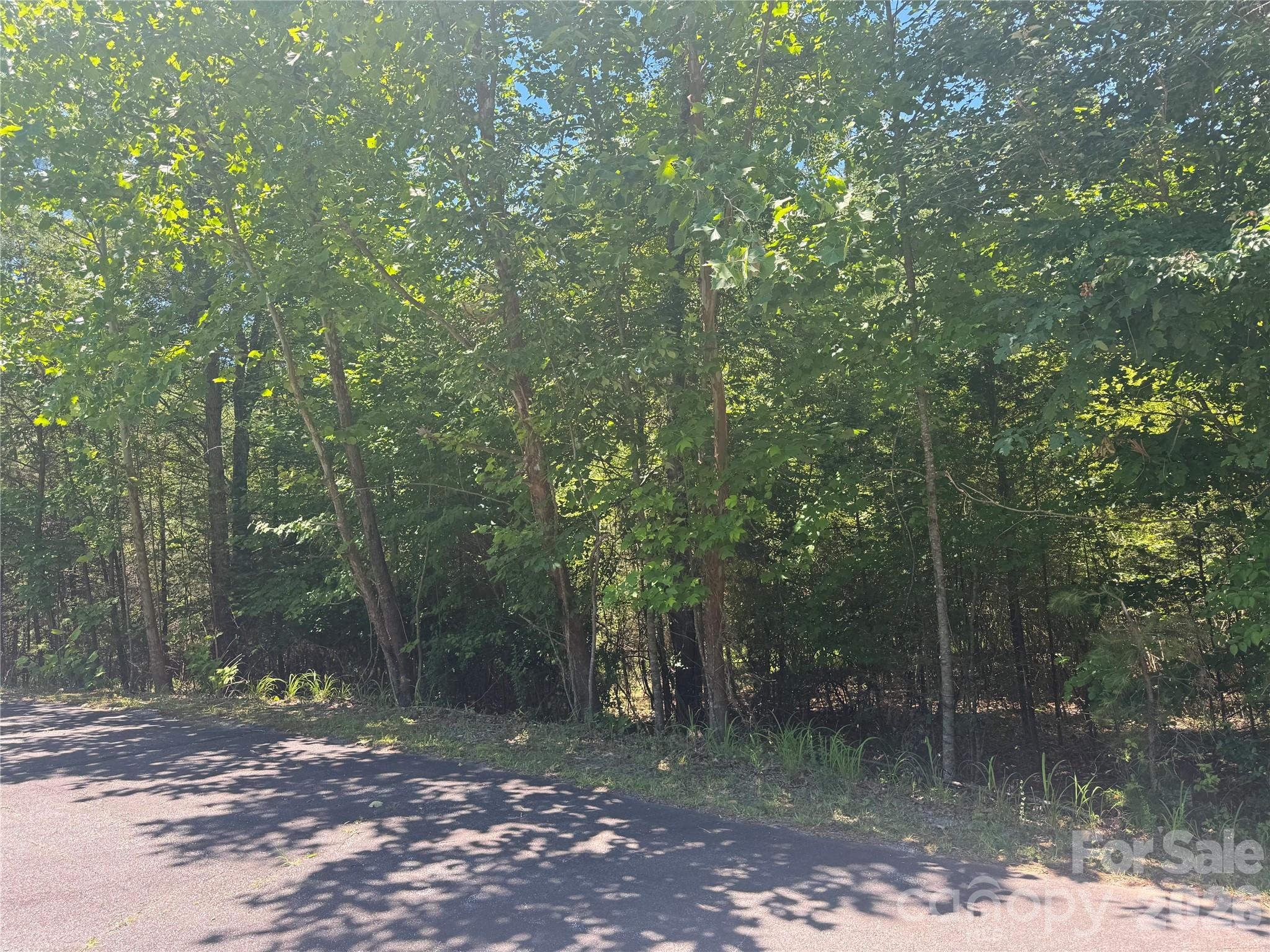 Lot at 0 Desota Ridge, Rutherfordton, photo 6 of 10