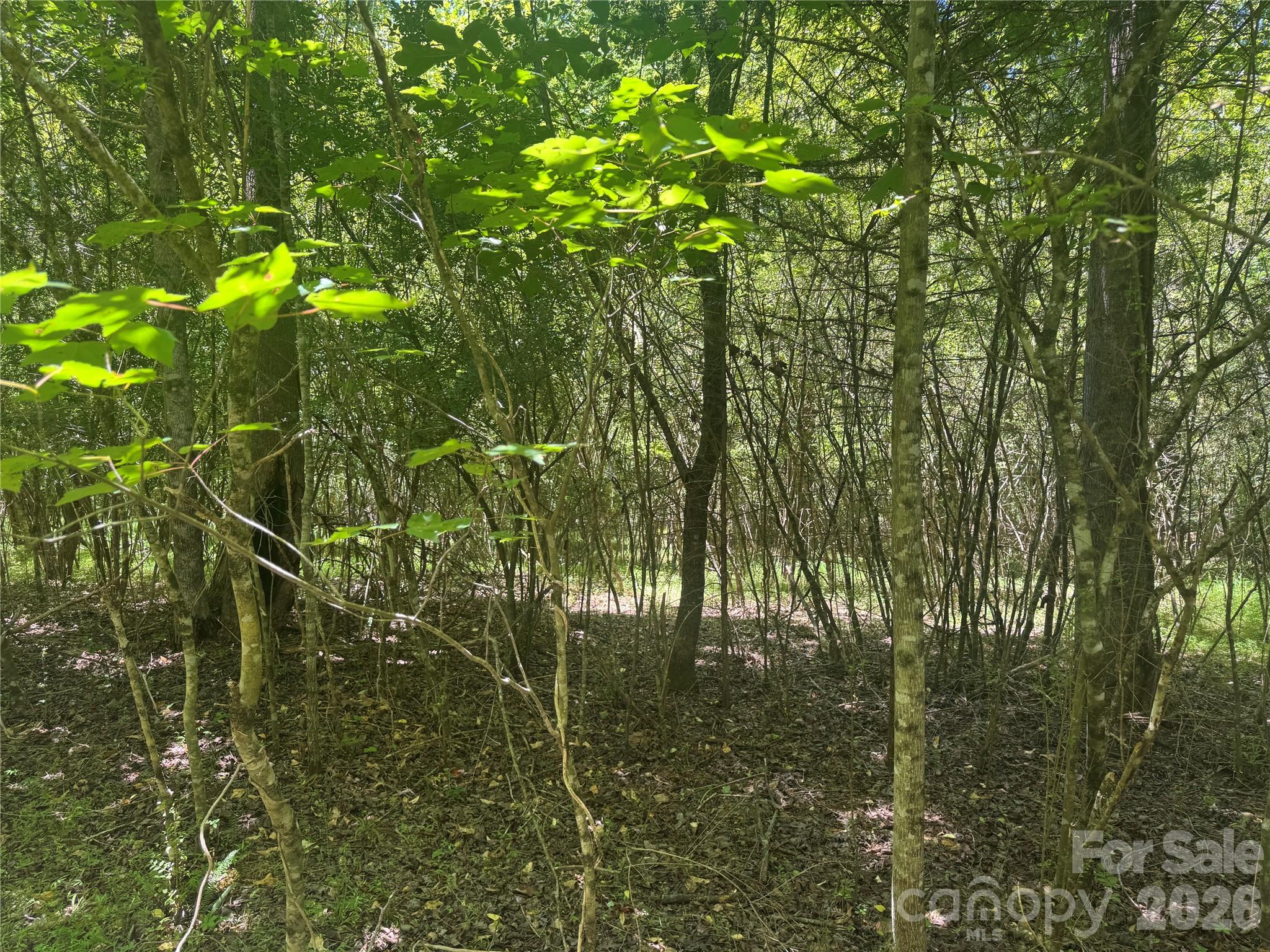 Lot at 0 Desota Ridge, Rutherfordton, photo 9 of 10