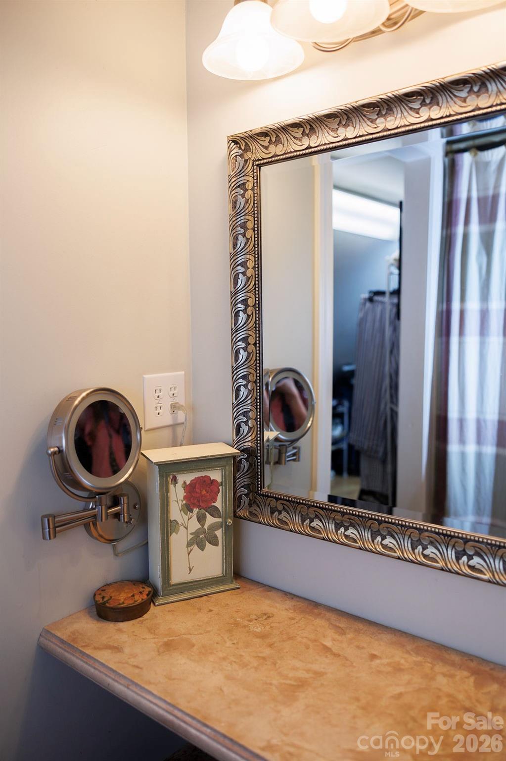 Primary bedroom features a separate vanity and dressing area - 119 Country Meadow Lane, Kings Mountain