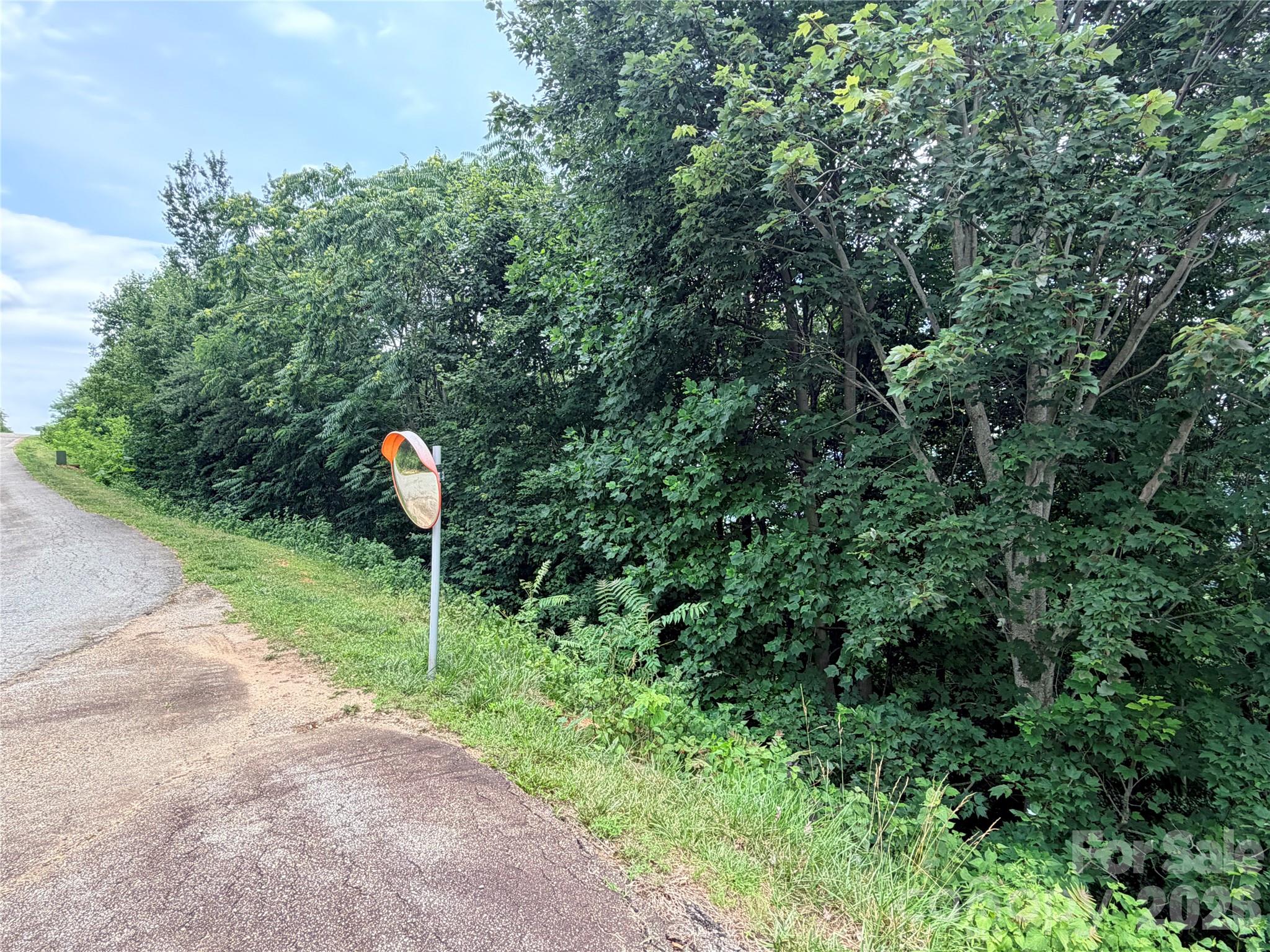 Lot at 0 Golden Ridge Drive, Lake Lure, photo 3 of 12